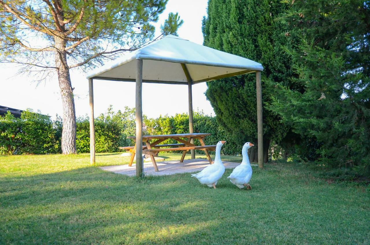 Agriturismo Galanti Cossignano Kültér fotó
